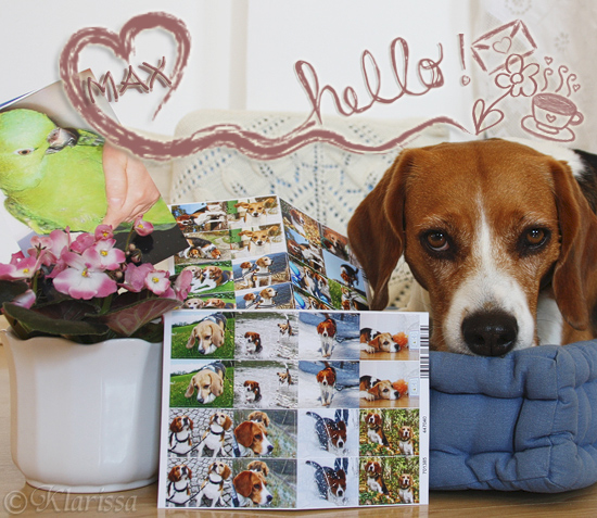 Post von unserem Max!